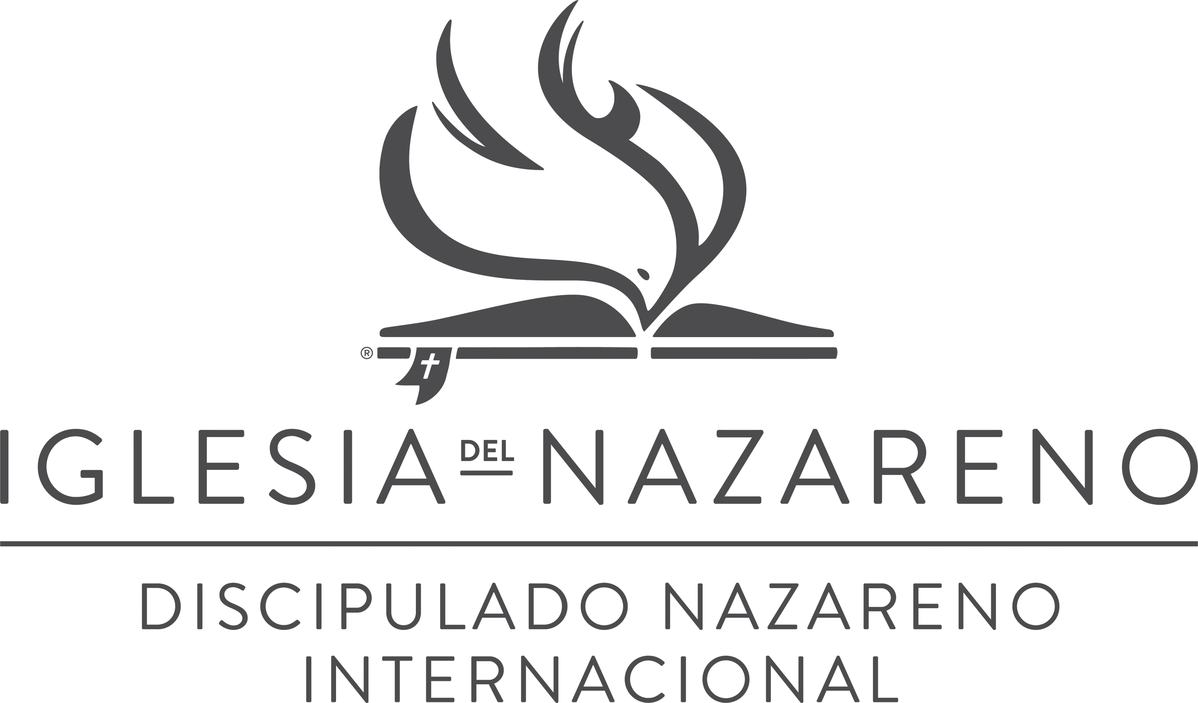 Logo de DNI